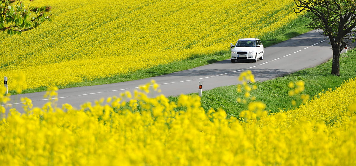 Vérifications à effectuer sur votre voiture avant de partir en vacances