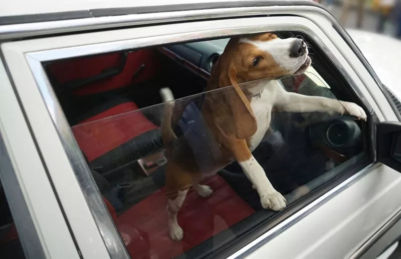 Chaleur en voiture : comment ne pas se sentir comme dans un four